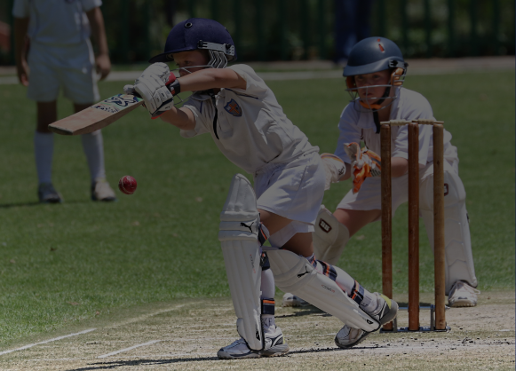 Cricket turf in Dubai - JMR Sporting